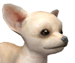 Chihuahua - Nintendogs