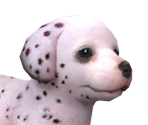 Dalmation - Nintendogs