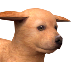 Golden Retriever - Nintendogs