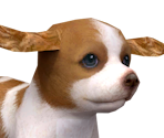 Cavelier K. C. Spaniel - Nintendogs