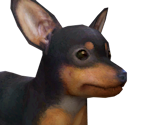 Miniature Pinscher - Nintendogs