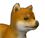 Shiba Inu - Nintendogs