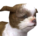 Shih Tzu - Nintendogs