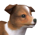 Shetland Sheepdog - Nintendogs