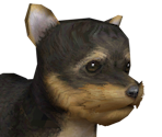 Yorkshire Terrier - Nintendogs