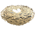 Bird's Nest - Mario Kart 8