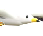 Seagull - Mario Kart 8