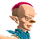 Sayge - The Legend of Zelda: Breath of the Wild