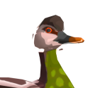 Bright-Chested Duck - The Legend of Zelda: Breath of the Wild