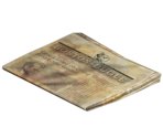 Boston Bugle Newspaper - Fallout 4