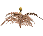 Bush (Buds) - Kameo: Elements of Power