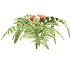 Bush (Flowers) - Kameo: Elements of Power