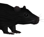 Rat - F.E.A.R.