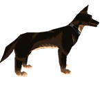 Agent K9 - Cartoon Network Universe: FusionFall