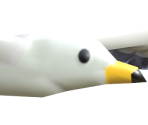 Seagull - ARMS