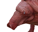 Swamp Rat - Richard Garriott's Tabula Rasa