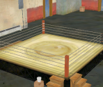 Minor Circuit Boxing Ring - Punch-Out!!