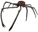 Japanese Spider Crab - The Sinking City
