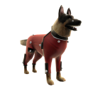 Riley in Mocap Gear - Avatar Marketplace