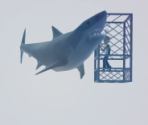 Shark Cage - Avatar Marketplace