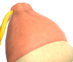 Lost Bag - Animal Crossing: New Horizons