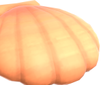 Seashells - Animal Crossing: New Horizons