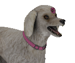 FiFi the Vampire Poodle - Goosebumps: Night of Scares