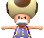 Toadsworth - Mario Kart: Double Dash!!