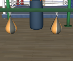 Training Gym - Wii Sports Club