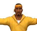 Pockets - Def Jam: Fight for New York