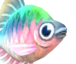 Bitterling - Animal Crossing: New Horizons