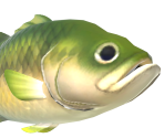 Black Bass - Animal Crossing: New Horizons