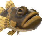 Freshwater Goby - Animal Crossing: New Horizons