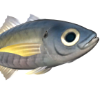 Horse Mackerel - Animal Crossing: New Horizons