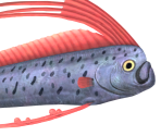 Oarfish - Animal Crossing: New Horizons