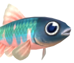 Pale Chub - Animal Crossing: New Horizons