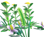 Summer Weeds - Animal Crossing: New Horizons