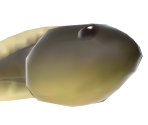 Tadpole - Animal Crossing: New Horizons