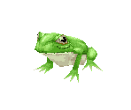 Frog - Final Fantasy 3