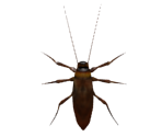Roach - Five Nights at Freddy's: Help Wanted