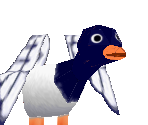 Seagull - Fun! Fun! Pingu