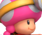 Toadette (Explorer) - Mario Kart Tour