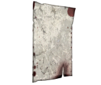 Kodiak Photo - Splatterhouse