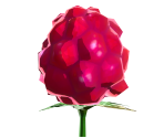 Wildberry - The Legend of Zelda: Breath of the Wild