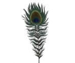 Peacock Feather - LittleBigPlanet