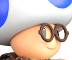 Hint Toad - Super Mario Odyssey
