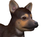 German Shepard - Nintendogs