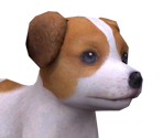 Jack Russell Terrier - Nintendogs