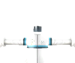 Mii (Large) - Mario Kart Wii