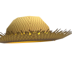 Straw Hat - Nintendogs